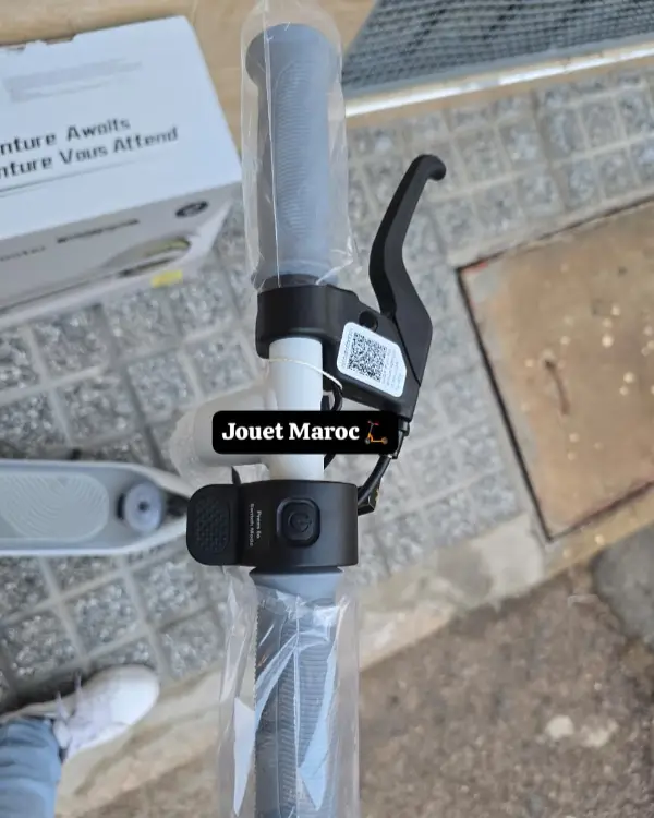 Trottinette électrique NINEBOT ZING C8 08