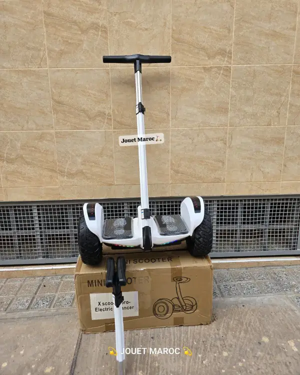 Electrique Segway X Scooter Pro 03