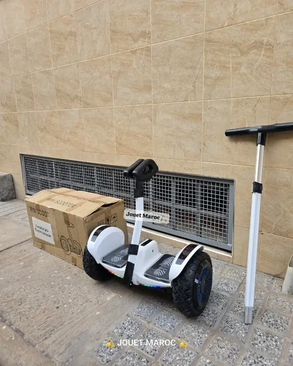 Electrique Segway X Scooter Pro 04