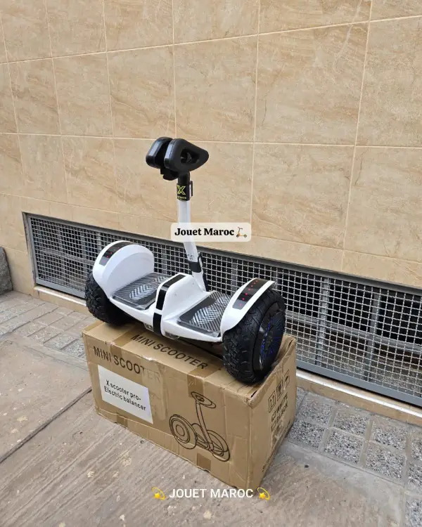 Electrique Segway X Scooter Pro 05