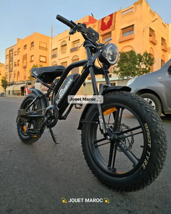 VÉLO ÉLECTRIQUE SUBORBOX K1 HARLEY 48V 02