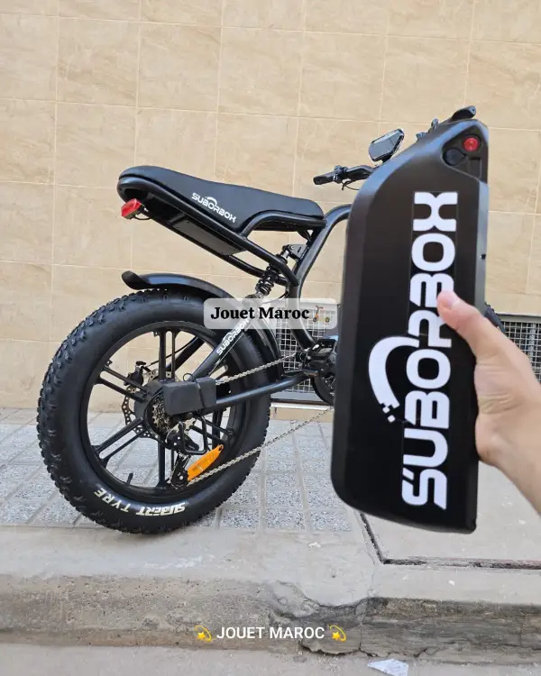 VÉLO ÉLECTRIQUE SUBORBOX K1 HARLEY 48V 04