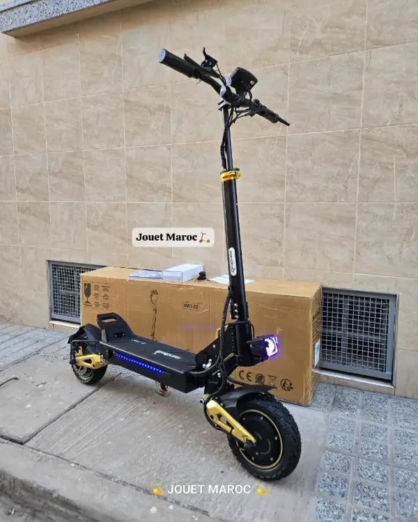 Trottinette électrique Mini Special 52V 02