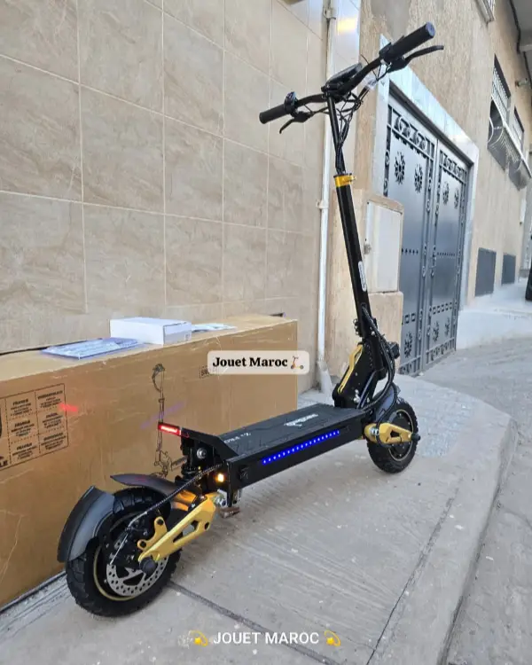 Trottinette électrique Mini Special 52V 04