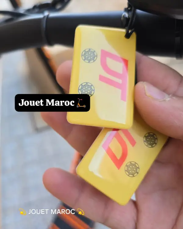 Trottinette électrique DRIVETRON DT10 08