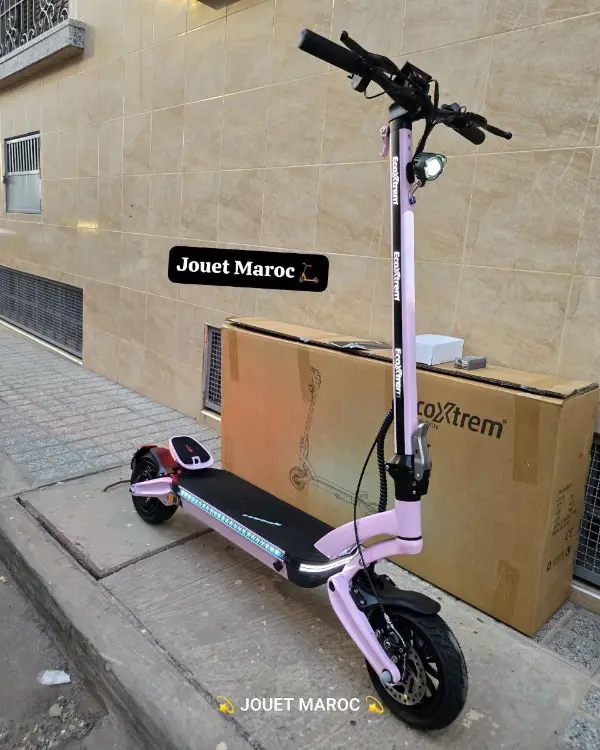 TROTTINETTE ECOXTREM BE1 02