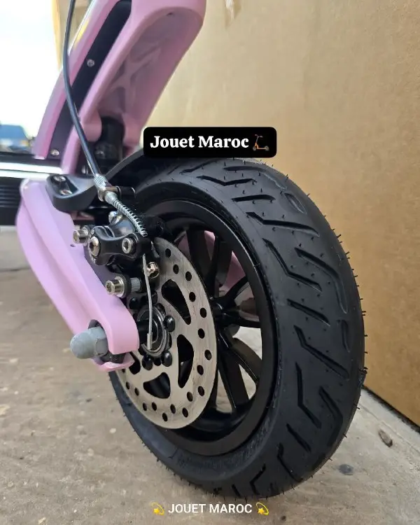 TROTTINETTE ECOXTREM BE1 04