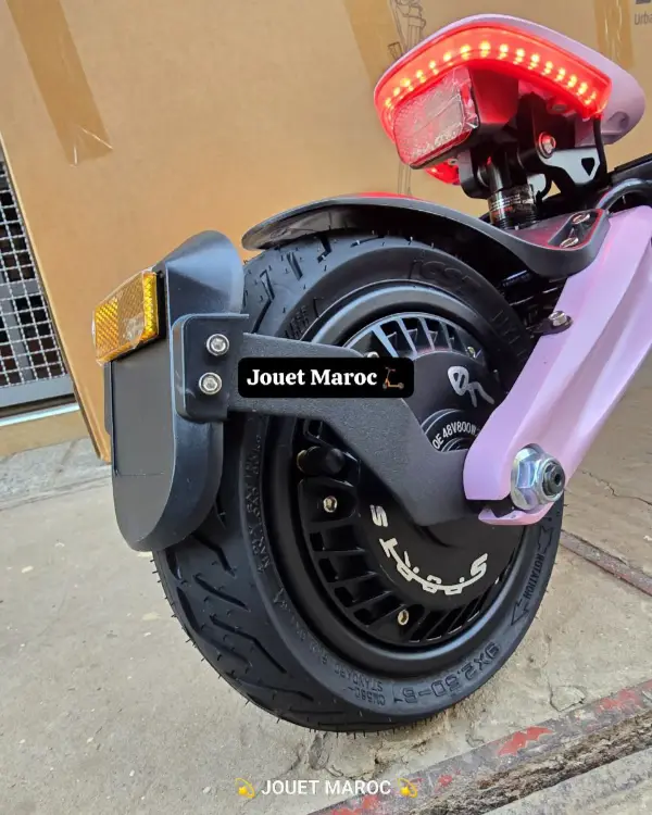 TROTTINETTE ECOXTREM BE1 05