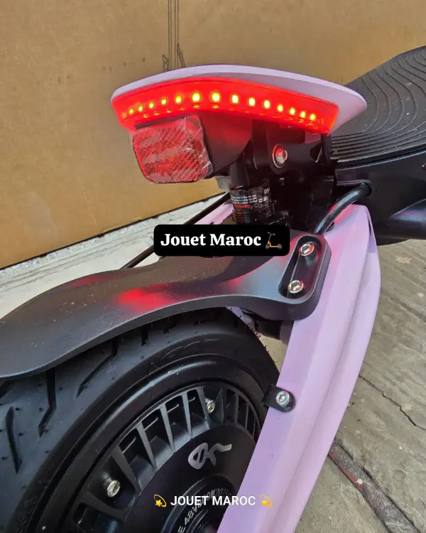 TROTTINETTE ECOXTREM BE1 06