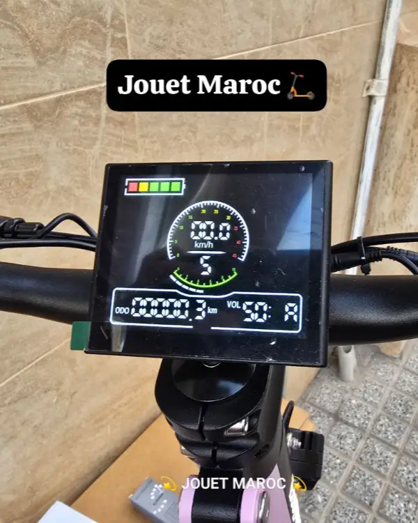 TROTTINETTE ECOXTREM BE1 07