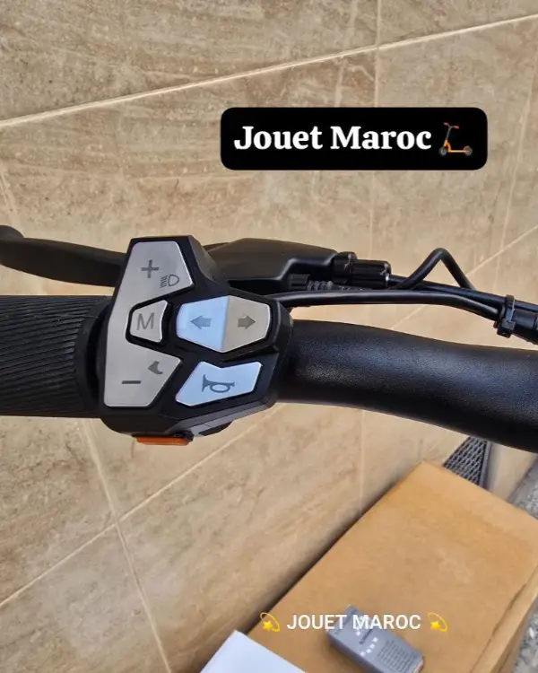 TROTTINETTE ECOXTREM BE1 08