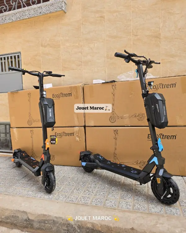 TROTTINETTE ECOXTREM G1 03
