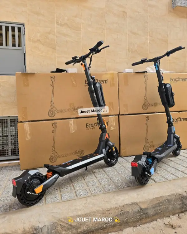 TROTTINETTE ECOXTREM G1 04