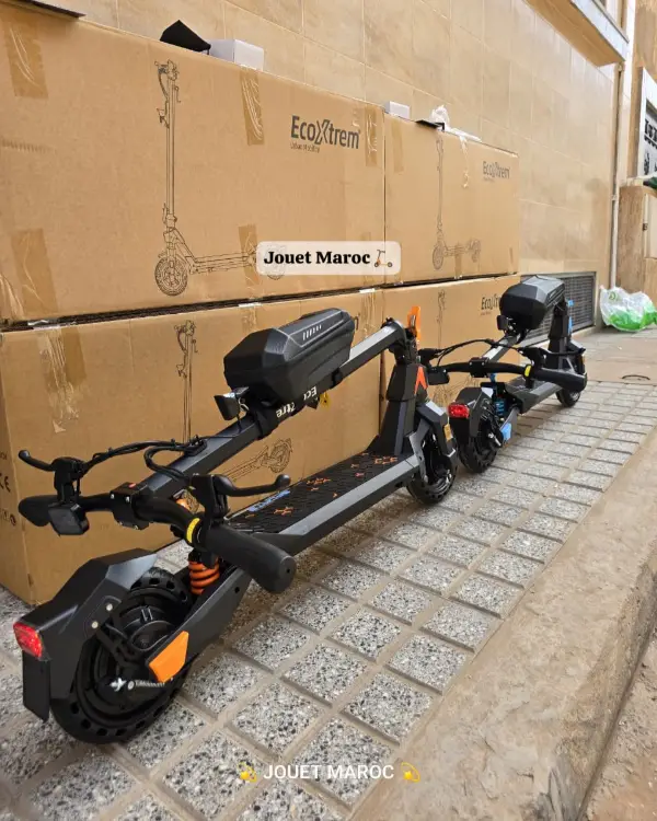 TROTTINETTE ECOXTREM G1 05