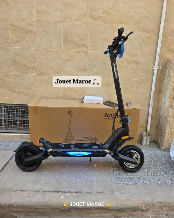 TROTTINETTE ECOXTREM G2 03