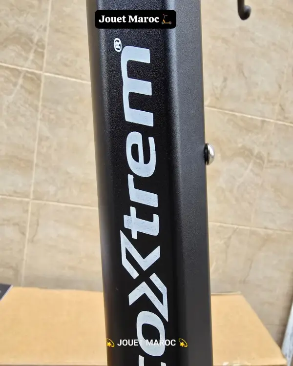 TROTTINETTE ECOXTREM G3 11