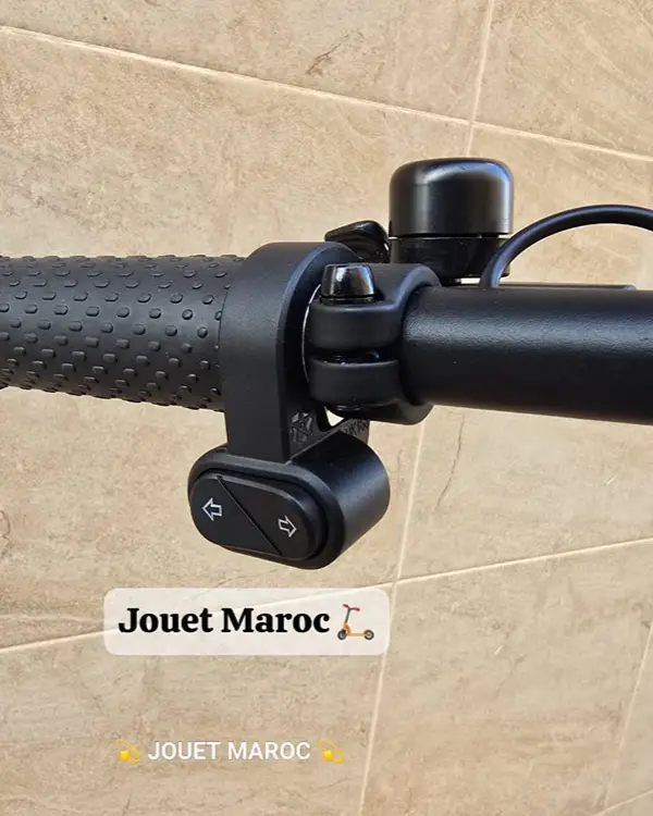 TROTTINETTE Urban Glide 100Evo 06