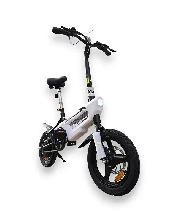 Vélo électrique A Vaster World A01