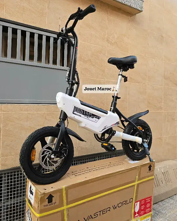 VÉLO ÉLECTRIQUE A VASTER WORLD A01 02