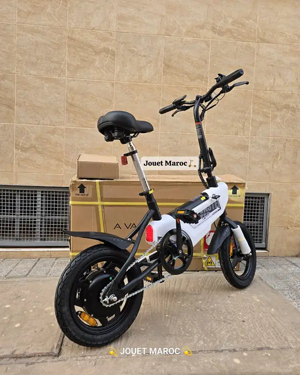 VÉLO ÉLECTRIQUE A VASTER WORLD A01 03