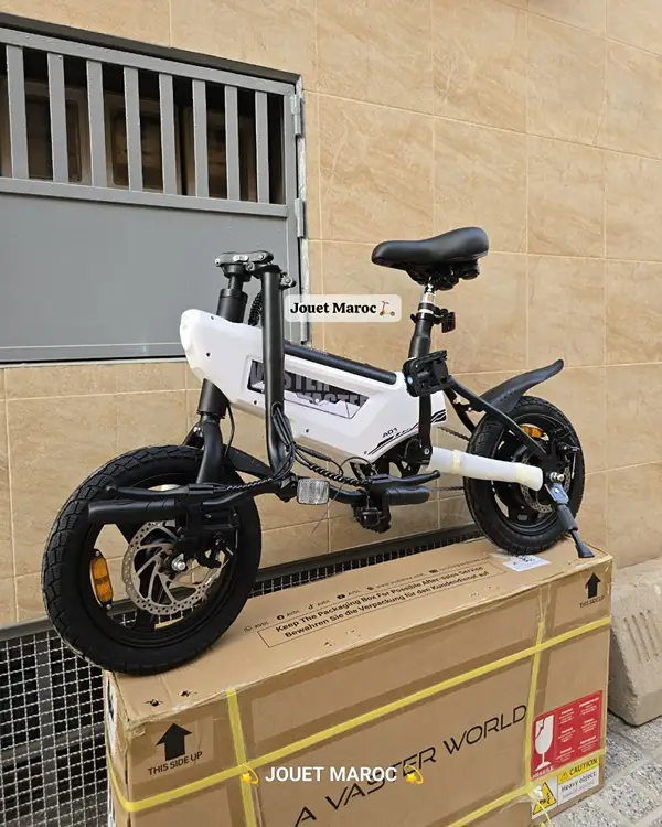 VÉLO ÉLECTRIQUE A VASTER WORLD A01 04