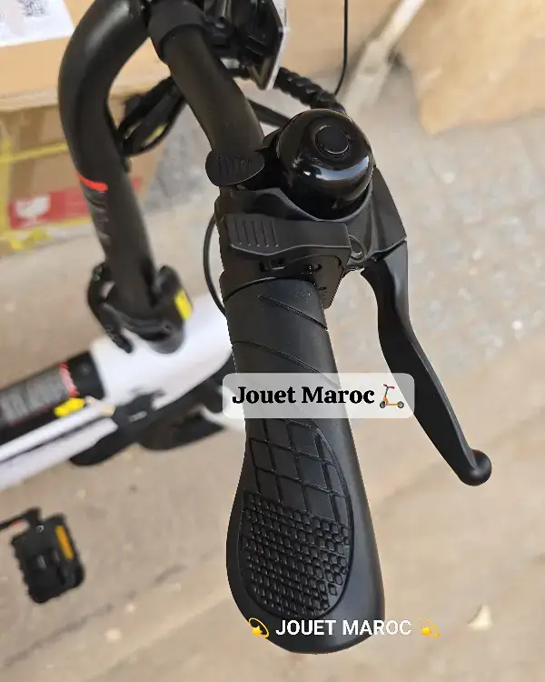 VÉLO ÉLECTRIQUE A VASTER WORLD A01 05 