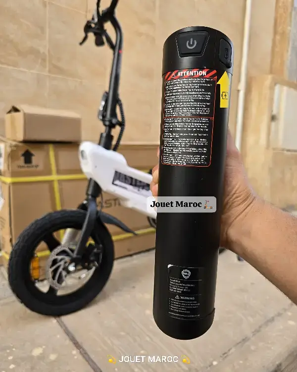 VÉLO ÉLECTRIQUE A VASTER WORLD A01 08