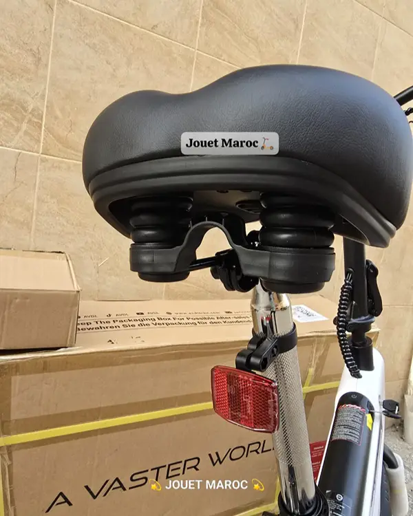 VÉLO ÉLECTRIQUE A VASTER WORLD A01 09