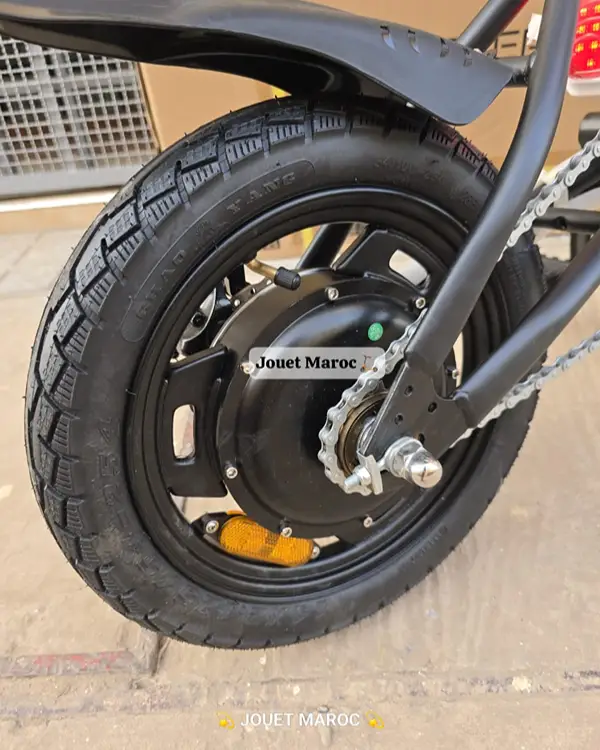 VÉLO ÉLECTRIQUE A VASTER WORLD A01 10 