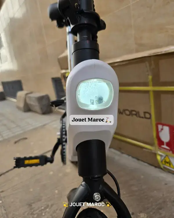 VÉLO ÉLECTRIQUE A VASTER WORLD A01 11