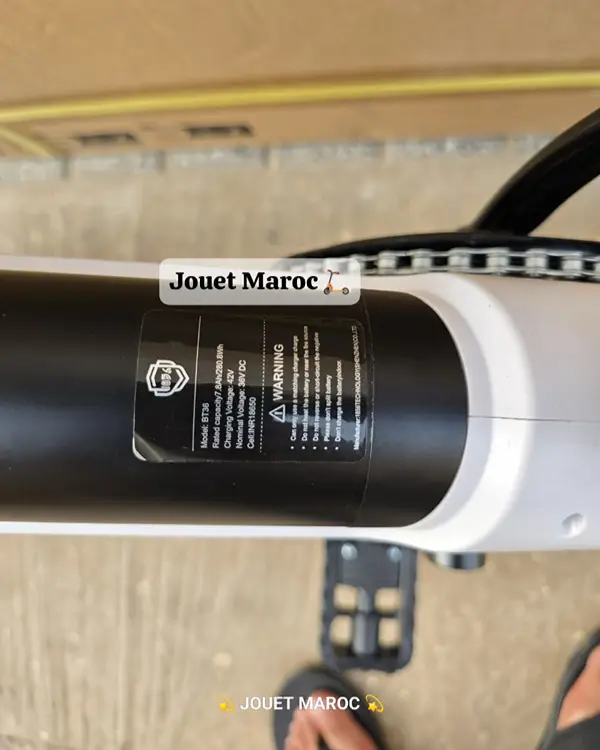 VÉLO ÉLECTRIQUE A VASTER WORLD A01 12