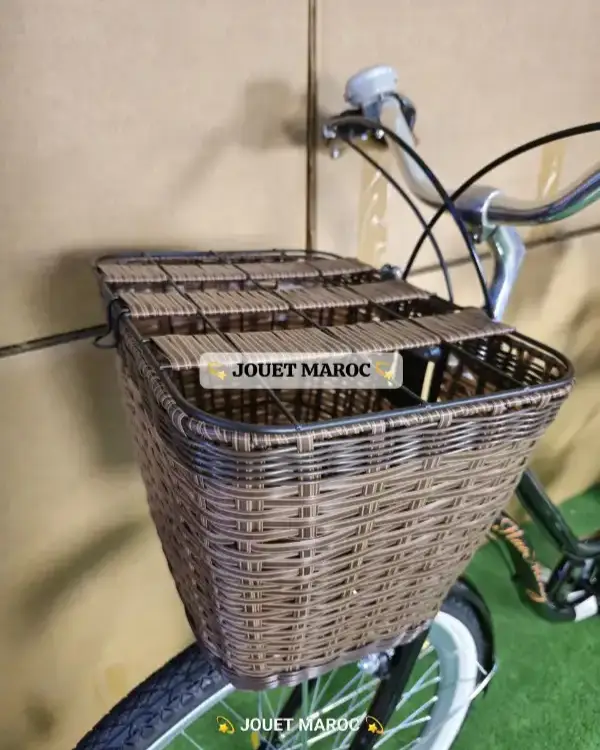 vélo madame hadmeng 6