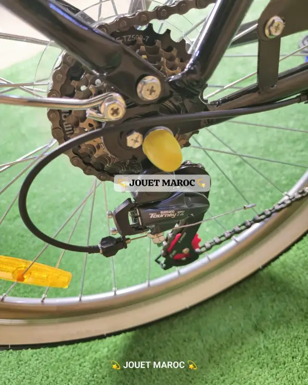 vélo madame hadmeng 8