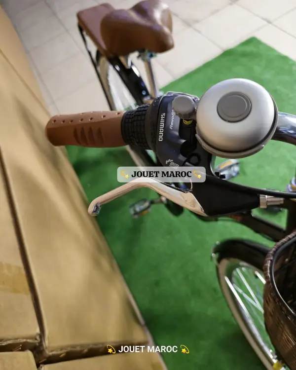 vélo madame hadmeng 10