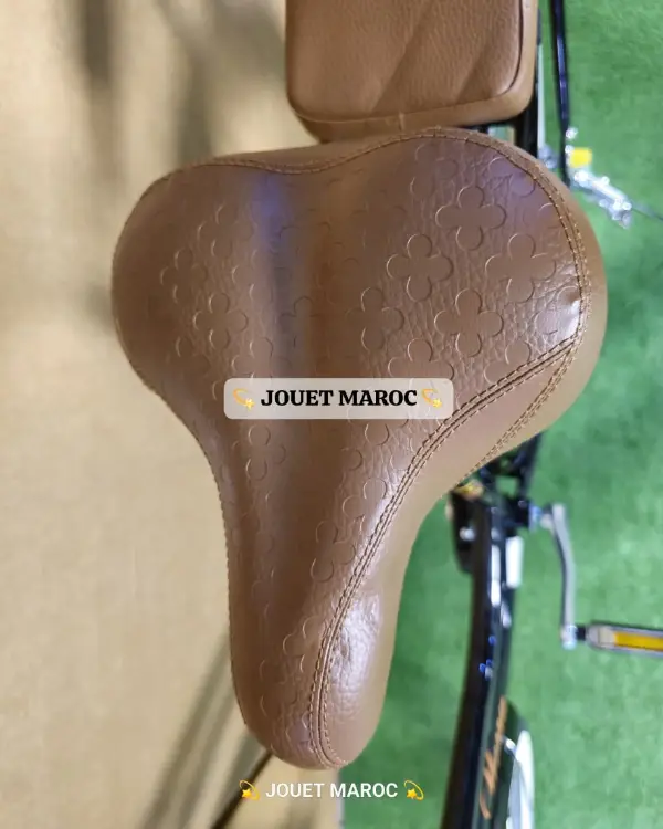 vélo madame hadmeng 11