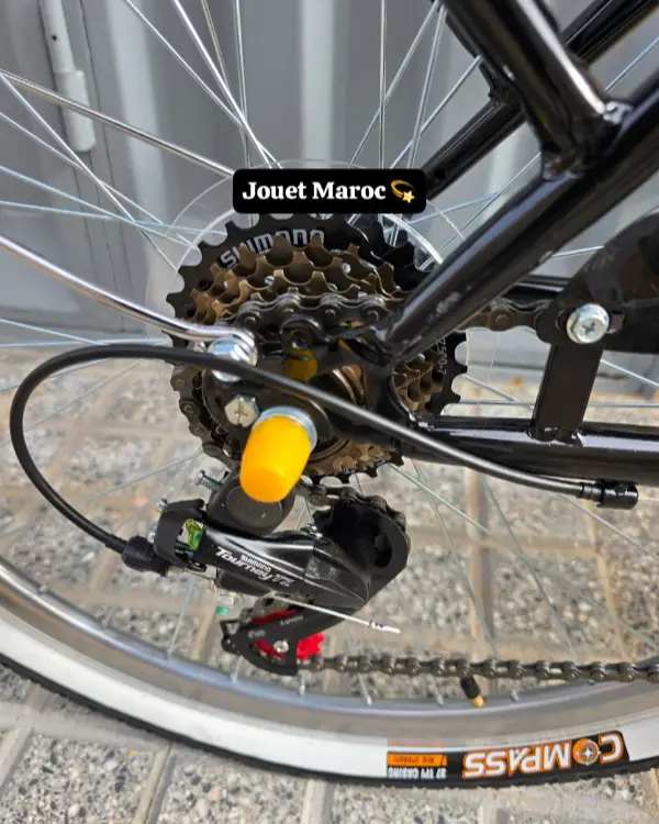 Vélo Madame Haomeng City Bike 6