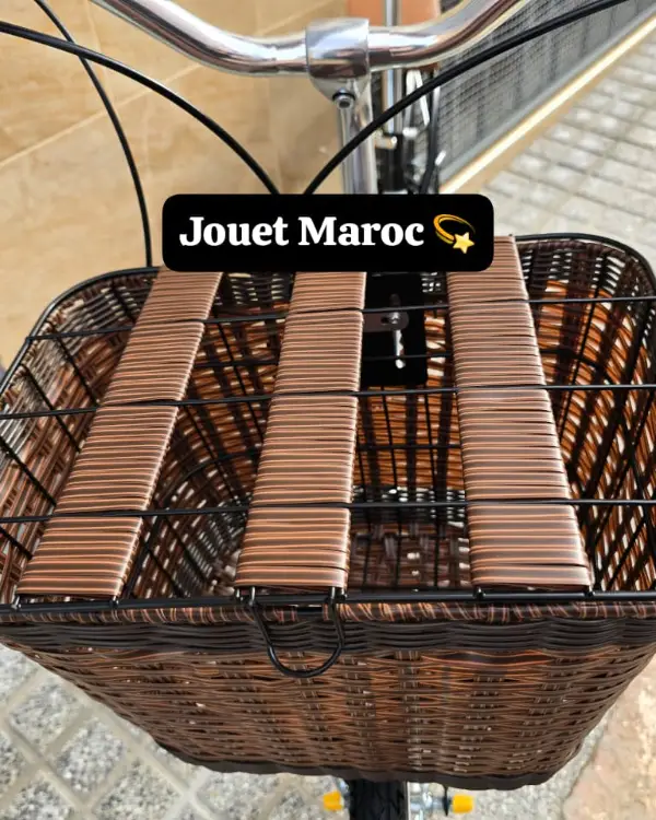 Vélo Madame Haomeng City Bike 10