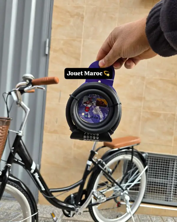 Vélo Madame Haomeng City Bike 12