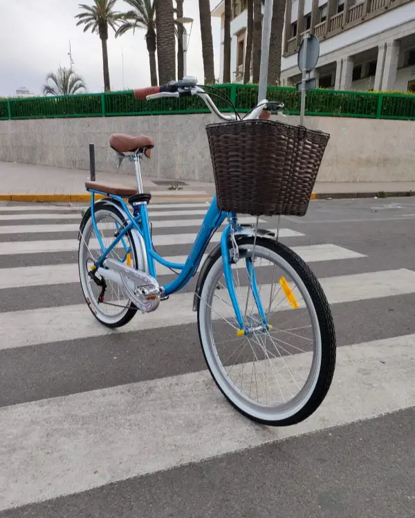 Vélo Madame Haomeng City Bike 14