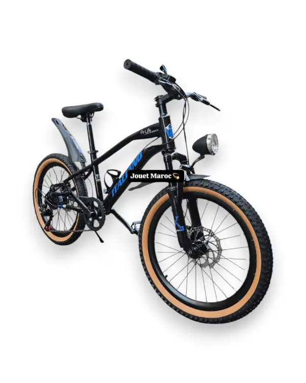 Vélo VTT ITALIANO 20 pouces