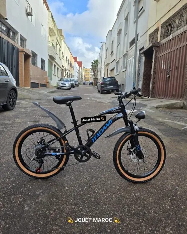 Vélo VTT ITALIANO 20 pouces 02