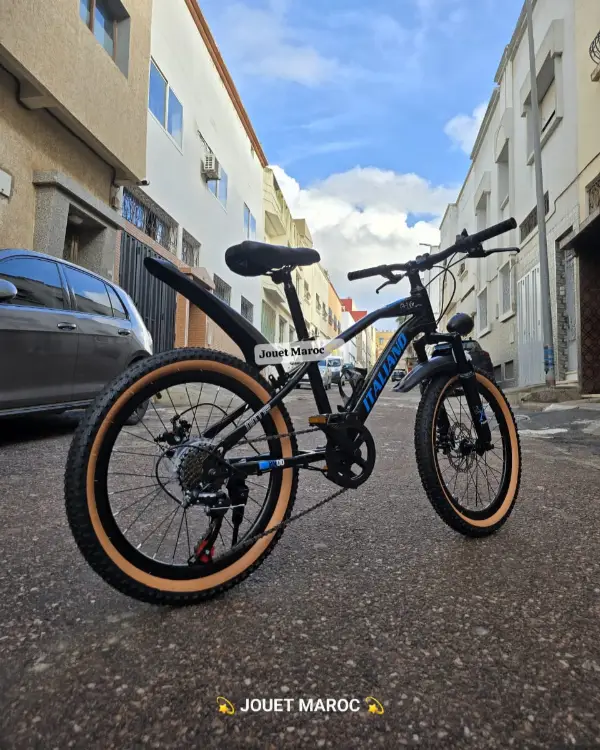 Vélo VTT ITALIANO 20 pouces 03