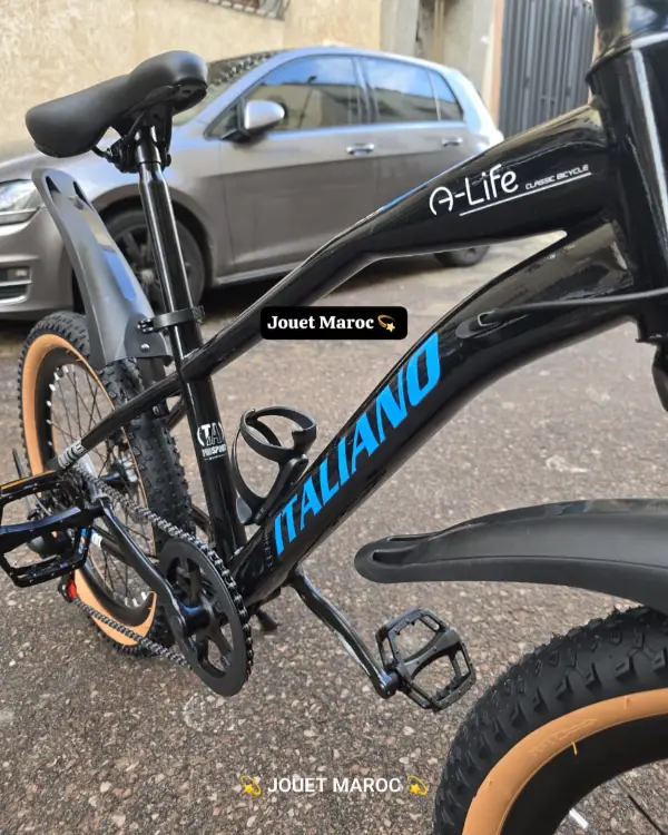 Vélo VTT ITALIANO 20 pouces 04