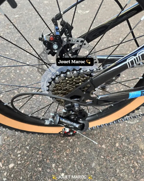 Vélo VTT ITALIANO 20 pouces 06