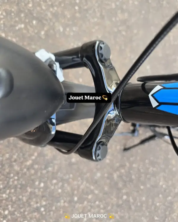 Vélo VTT ITALIANO 20 pouces 07