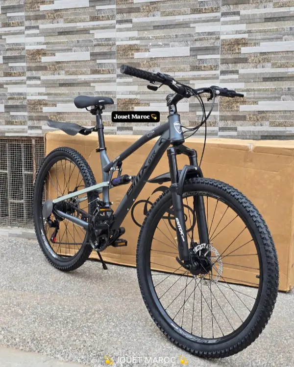 Vélo VTT BMX GTR - 668  02