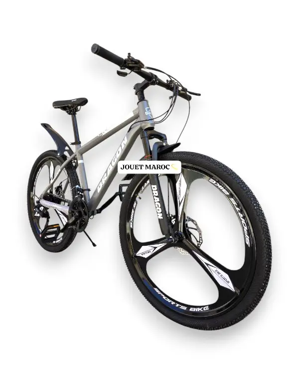 VTT DRAGON 26 pouces robuste et performant. Roues en aluminium