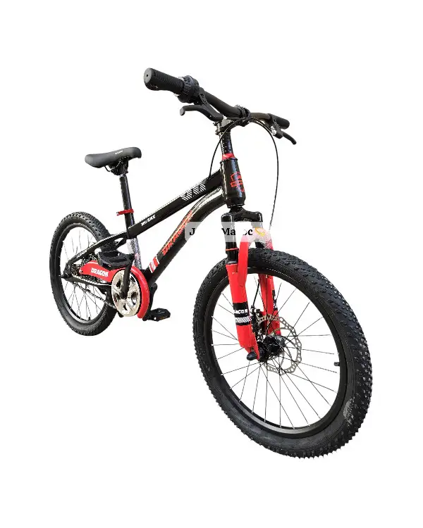 Vélo Vtt Dragon 20 pouces