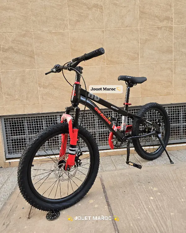 Vélo Vtt Dragon 20 pouces 02