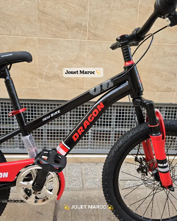 Vélo Vtt Dragon 20 pouces 03